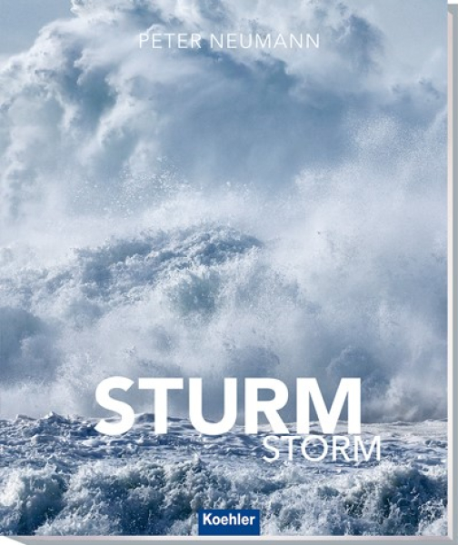 Buch Sturm -Storm